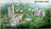 重庆涪陵中心医院